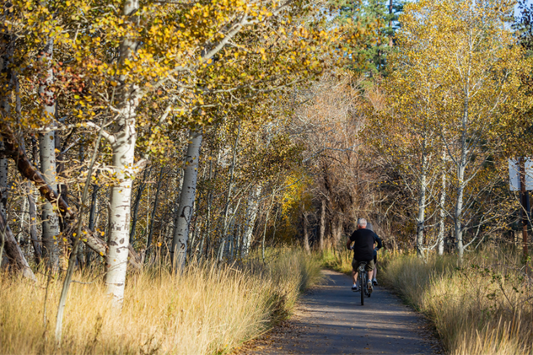 bike riders on trail