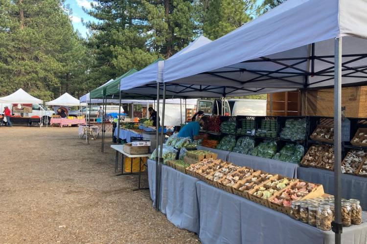 Tents lined up with fresh produce