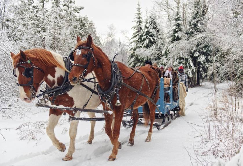 horse drawn carriage ride in the snow